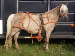 Little Jim's Silver Bell