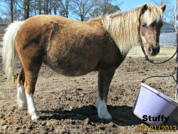 LP Painted PuffNstuf