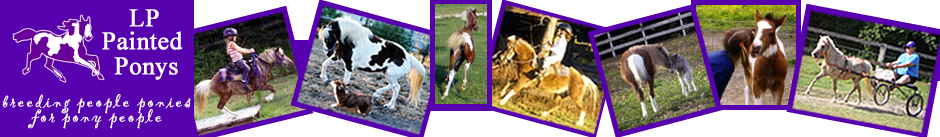 LP Painted Ponys - people ponies for pony people