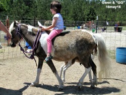 LP Painted Silver Toy H