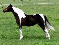 Dynamics CherishtheMoment