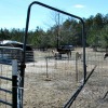 Stud pen Walk-thru gate