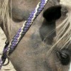 Flashi - paracord halter