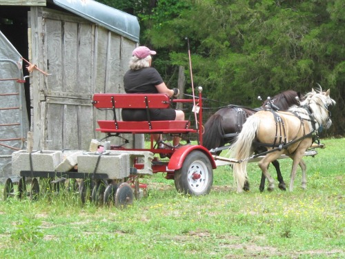 Kreature & Eclipse - farmwork