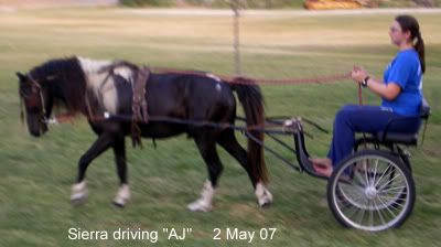 AJ - WF Action Jackson