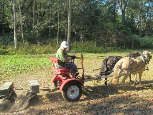 Eclipse & Kreature disk pasture