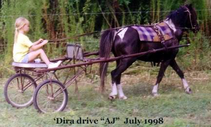 AJ-WF Action Jackson