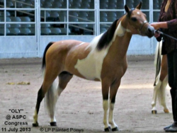 Oly - LP Painted Mo-Olympus