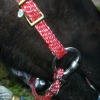pink haystring bridle - Eclipse-b