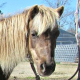 Stuffy - LP Painted StufNpuff